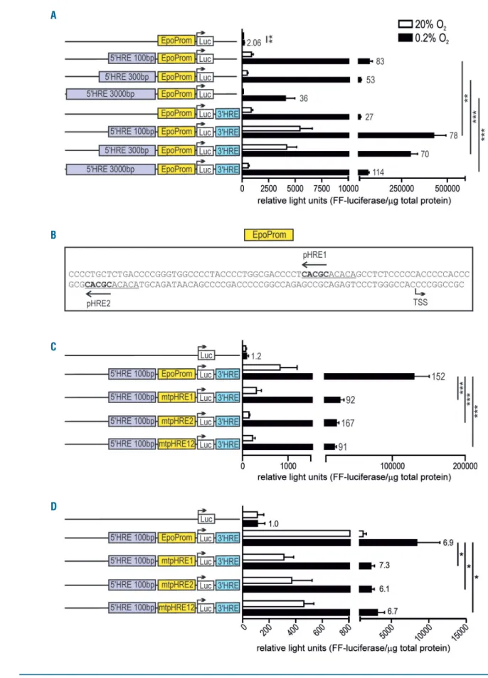 Figure 3. EPO promoter-driven and hypoxia response elements (HRE)-enhanced luciferase reporter gene expression