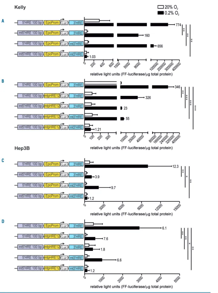 Figure 6. EPO promoter/enhancer-driven luciferase reporter gene expression following single and combined hypoxia response elements (HRE) mutations