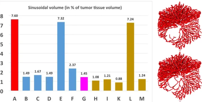 Figure 9: Blood vessel volume fraction inside the tumor. Here, (A) denotes the reference (without a tumor) of  Hoehme et