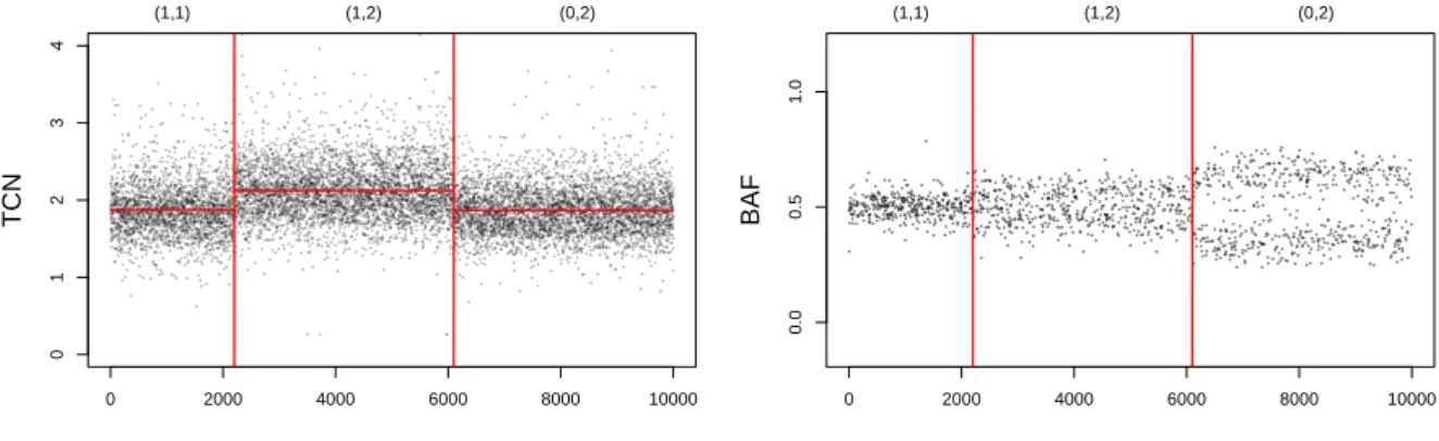 Figure 3: SNP array data. Total copy numbers (TCN), allelic ratios (BAF) along 10,000 genomic loci
