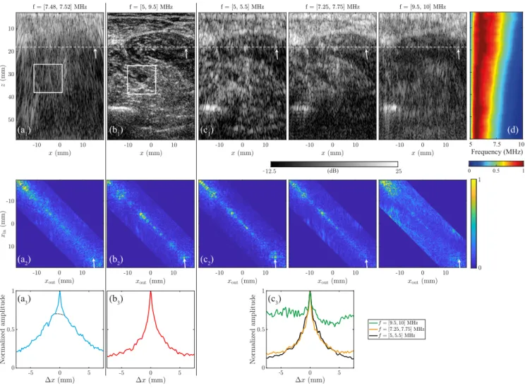 FIG. 2. UMI in a monochromatic, broadband and multi-frequency regime. (a) Monochromatic regime (f =7.5 MHz): (a 1 ) Multi-focus image (dB-scale), (a 2 ) reflection matrix R xx (z) at z = 18 mm [see white dashed line in (a)], and (a 3 ) common mid-point int