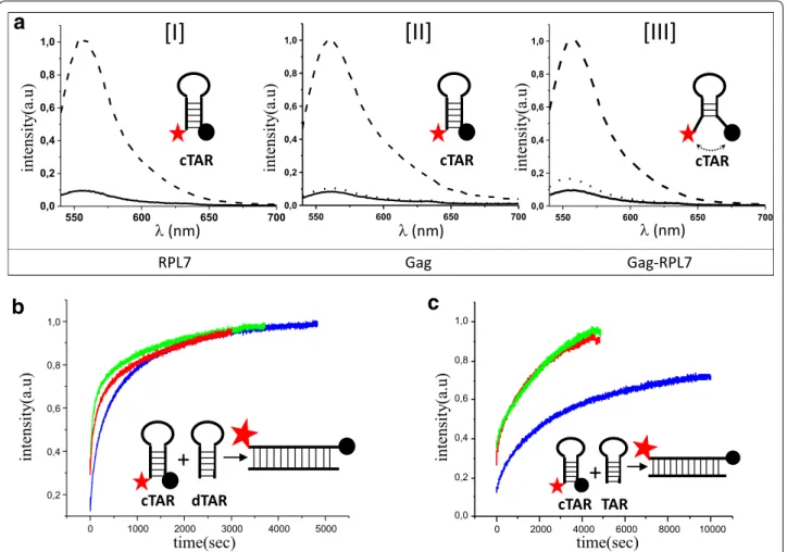 Fig. 6  DNA and RNA annealing activity of RPL7. a Emission spectra of Rh6G‑cTAR‑Dabcyl