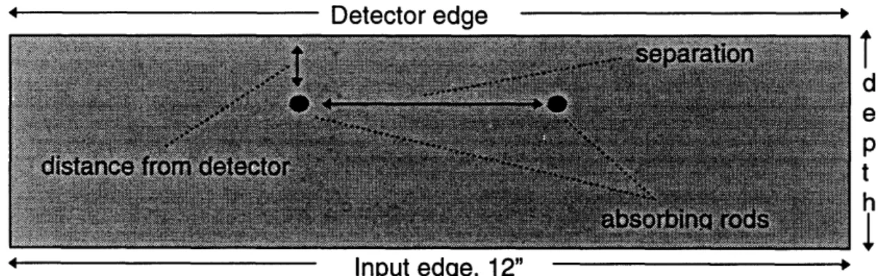 Figure  2.2:  Arial  view of  a Plexiglas tank filled with  Intralipid-10% TM solution  and two  glass rods filled with  absorbing  green  dye.
