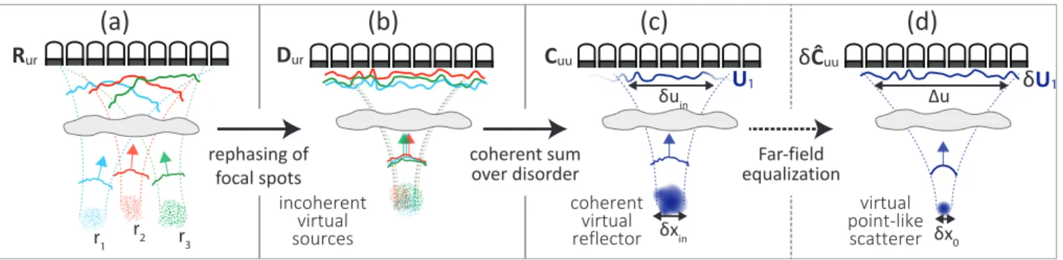 FIG. S3. Sketch of the time reversal analysis of the distortion matrix. (a) Each column of the reflection matrix R ur corresponds to the reflected wavefield induced by the associated virtual source r in 