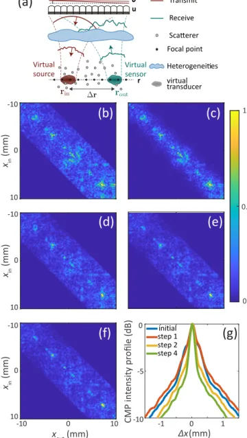 FIG. 2. Results of the aberration correction process applied to in-vivo imaging of the human calf