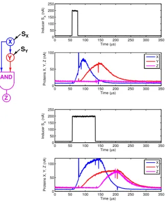 Fig. 6. Measured SNR as a function of mean concentration for both mRNA and protein.