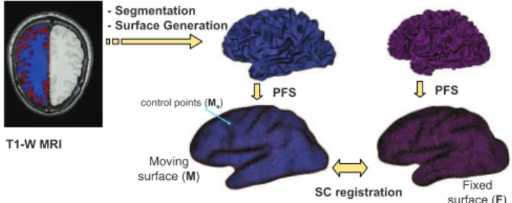 Fig. 1. Overall process for shape context cortical mapping. The moving PFS surface M is to be registered to the ﬁxed PFS F .