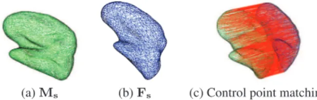 Fig. 5. Example of propagated cortical thickness values from one individual to a common template after registration of PFS.