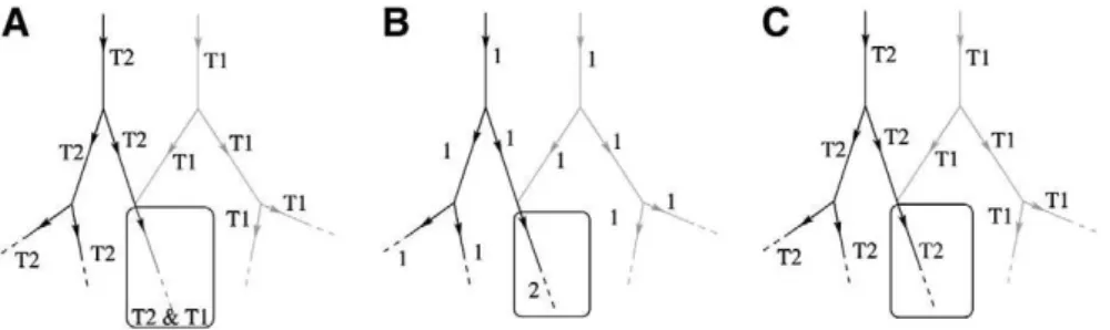 Fig. 1. Representation of the notions of territories and robustness. Using blood ﬂow simulation, a vascular territory is deﬁned as the network of segments perfused by a penetrating vessel