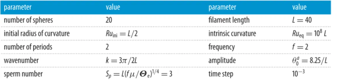 Table 4. Parameters of the active filament identification. Number of beads N = 20.