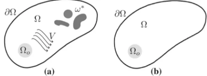 Fig. 1 Domain Ω with (a) and without (b) the set of isolated pollution sources ω ∗