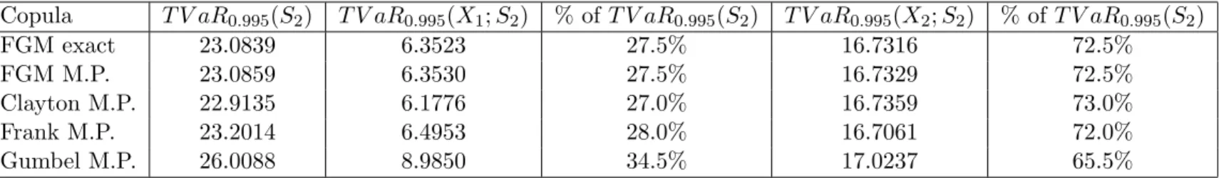 Table 5: TVaR and TVaR-based allocation for S 2 with κ = 0.995.