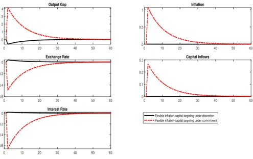Figure 2 – Flexible inflation-capital targeting under RE Response to a 5% supply shock