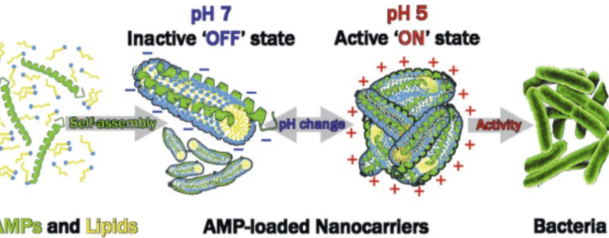 Fig. 2. Stimuli-responsive nanocarriers formed through the self-assembly of OA with LL-37