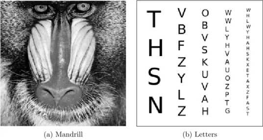 Figure 7: The two images of size 256 × 256 used in these numerical experiments
