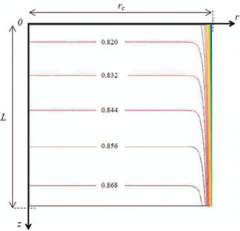 FIG. 7. Saturation isocontours at the onset of crystallization for the case C 0 = 7%, σ = 2, d = 300 μm)