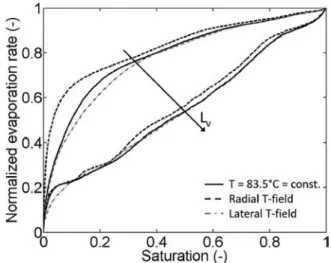 Figure 13. Gas-liquid phase distributions at the end of drying (top view). Simulations with lateral and radial temperature field (with  parameter  setting  according  to  Table  1  and  the  temperature  field  specified  in  Figure  3)  and  L v  ¼ 25 µm