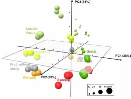 Figure 4. PCA of absolute values of 39 metabolites and starch measured by proton nuclear magnetic  resonance  ( 1 H‐NMR),  liquid  chromatography  coupled  with  diode  array  detection  (LC‐DAD),  or  enzymatic analyses in five tomato fruit tissues and fr