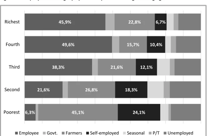 Figure 3.  Employment category by wealth quintile among working age adults 