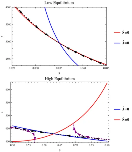 Figure 2: Phase diagram with converging trajectories for low and high equilibrium