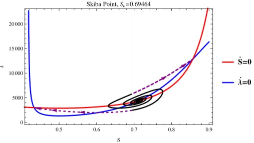 Figure 4: Skiba point with trajectories converging to saddle-point equilibria
