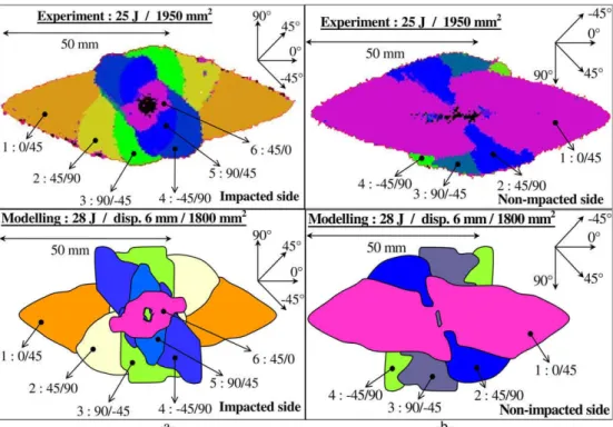 Fig. 13. Experimental and modelling delamination in the impacted (a) and non-impacted side (b).