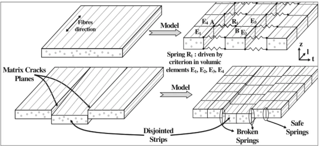 Fig. 4. Model of the ply.