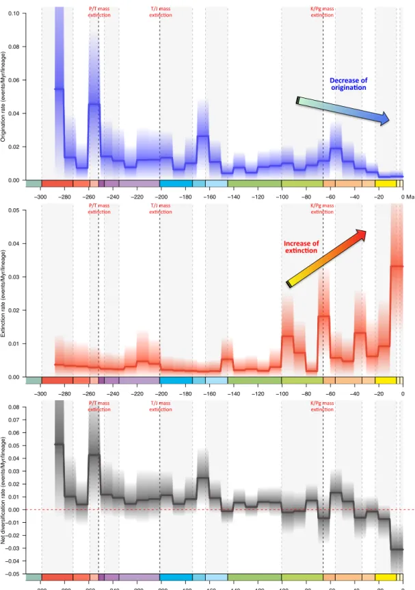 Fig.  S3.  Global  diversification  of  conifers  without  the  Cordaitales  inferred  from  the  fossil  record