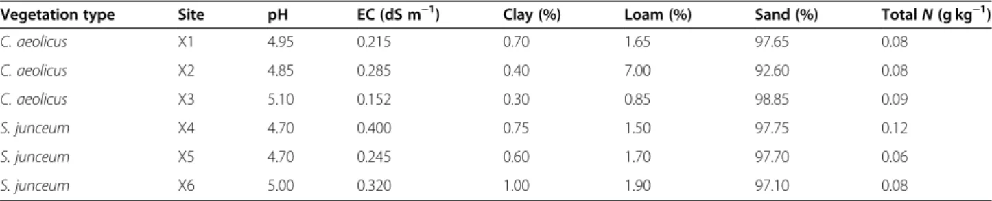 Fig. 2 Estimated number of individuals of C. aeolicus in Stromboli, based on the cross correlation between the results of image interpretation and field surveys