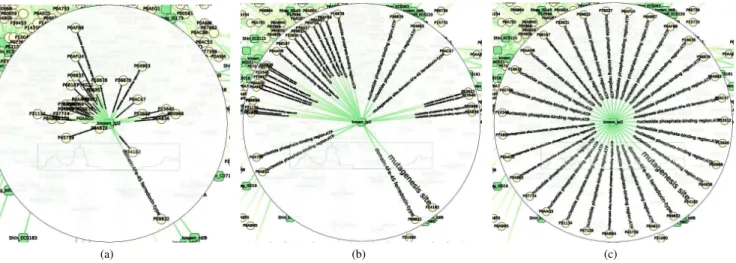 Figure 2: Different steps of our dedicated Bring &amp; Go [25] interaction tool. (a) When the mouse pointer is over a RNA, an augmented display emphasizes its neighborhoods