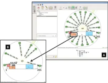 Figure 5: Illustration of the rpoS mRNA hub analysis. sRNA nodes are represented as green circles and mRNA nodes are in yellow  cir-cles