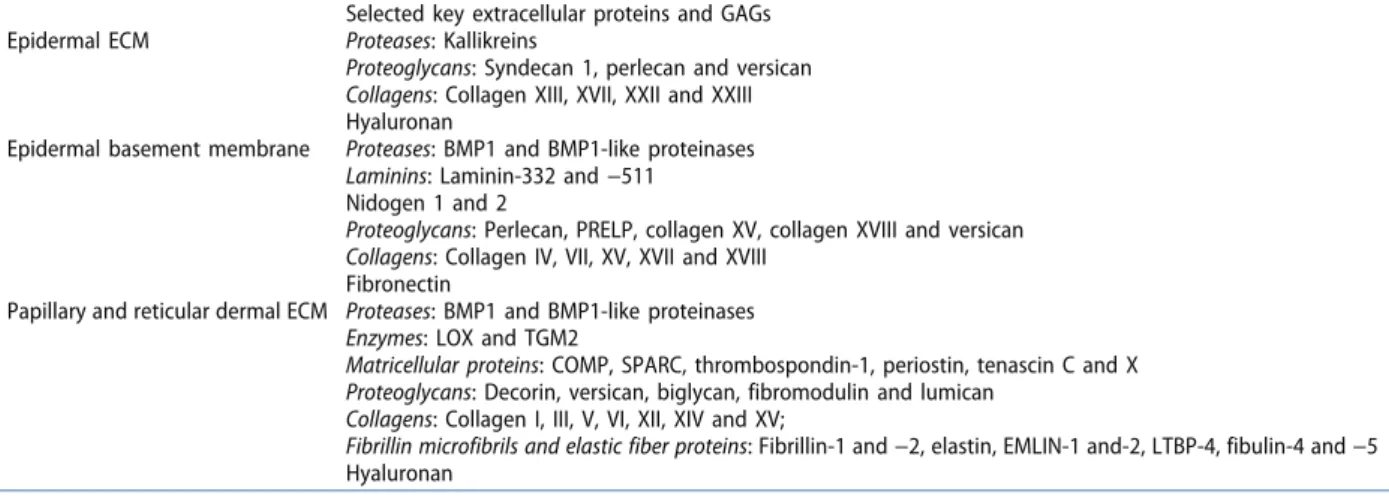 Table 1. The proteome and the glycome of the skin ECM.