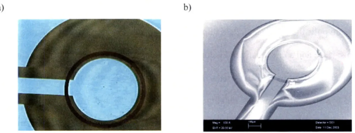 Figure  2.13.  a)  A  top view of the center  capacitor  area taken  from a microscope  and b)  a micrograph of the  same device taken  from  SEM.