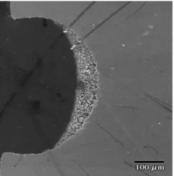 Fig. 8. SEM of the P2C1 catalyst sample deposited inside the microchannel.  