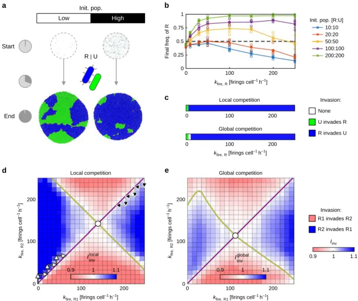 Figure 1c shows the fate of an invading Random T6SS attacker (summarized by an invasion index, I inv ) as a function of its attack rate, k ﬁre,R , for when there is purely local competitionStartEndInit