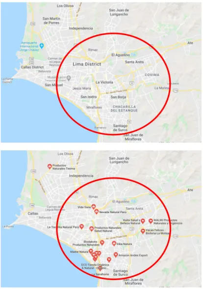 Figure 4 – Location of stores selling meat alternatives in Lima, 2019 