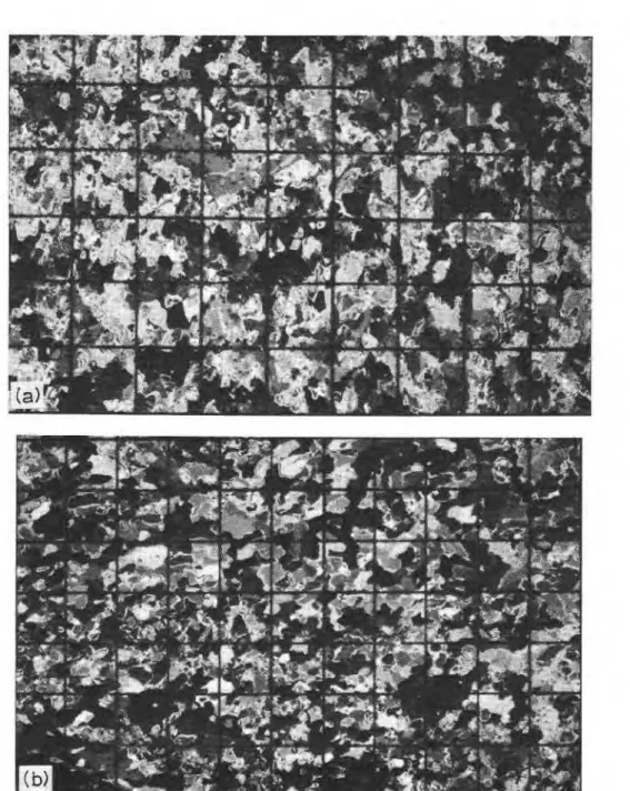 Fig. 1. Photograph of  thin sections between crossed-polaroids showing (a) vertical and (b) horizontal grain structure at a depth of  75  cm