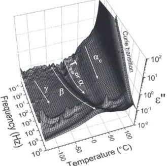 FIGURE 4 Dielectric relaxation map of initially poled 70/30 P(VDF-TrFE) as measured by means of dynamic dielectric spectroscopy.