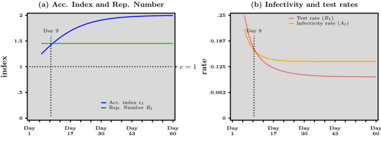 Figure 1: Numerical example for exponential growth of both daily cases and daily tests