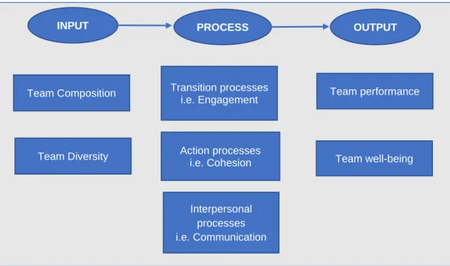 Figure 8: Adapted Input-Process-Output Model of Team Effectiveness 