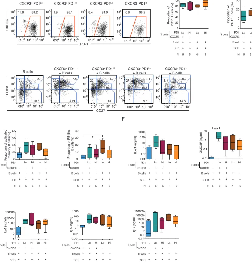 Figure 4. CXCR3 +  PD-1 Lo  pTfh cells support B cell activation and differentiation. (A): Dot plots reflect CXCR5 vs PD-1 expression on sorted CXCR3 +  and  CXCR3 -  PD-1 Lo  and PD-1 Hi  pTfh cells on day 6 in co-culture with autologous total B cells in 