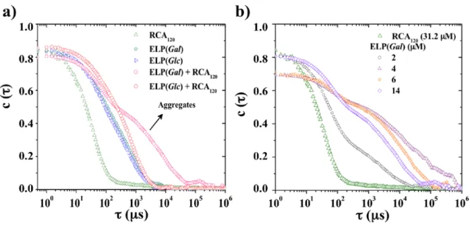 Figure 3. a) Correlation functions of 31.2 µM RCA 120 , 200 µM ELP(Gal), 200 µM ELP(Glc),  31.2 µM RCA 120 / 200 µM ELP(Gal) and 31.2 µM RCA 120 / 200 µM ELP(Glc) at 25 °C, b)  Evolution of RCA 120  (31.2 µM) correlation function during progressive additio