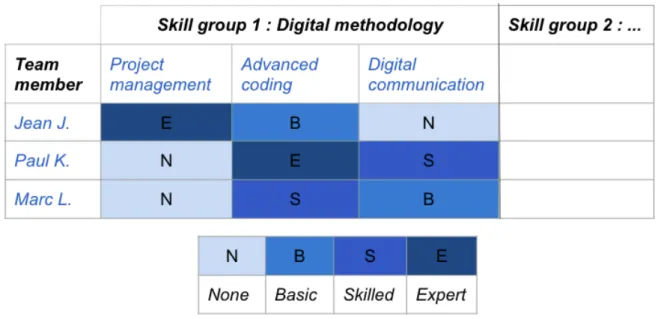 Figure 5 - Skills audit instrument 