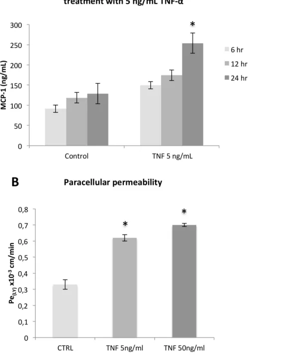 Figure 5. In vitro BBB model response to treatment with the pro-inflammatory agent TNF-α