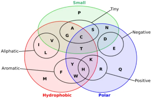 Figure 2. Euler diagram displaying 8 properties of the 20 amino acids (known as “the Venn diagram of amino acid”).