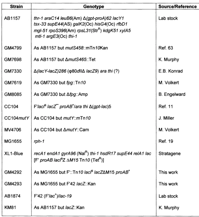Table 1. The genotypes of the E. coli strains.
