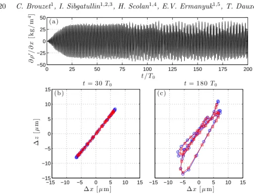 Figure 10. (a) Time history of horizontal density gradient in y = 0 mm for the numerical simulation with a = 2.2 mm