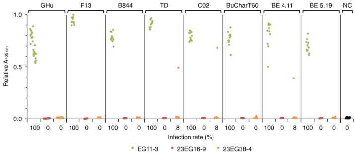 Figure 6 Evaluation of the resistance of T2 lines 23EG16-9 and 23EG38- 23EG38-4 to GFLV transmission by X