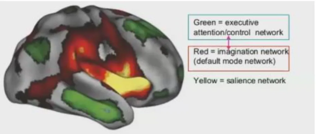 Figure 10 - Where does creativity lie in the brain? 