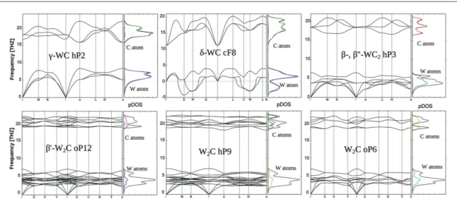Figure 5. Vibrational band structures and density of states of γ- and δ-WC and C´ -, Ca - and β-W 2 C, frequencies are in THz.